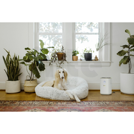 Čistička vzduchu KÄRCHER AF 20 1.024-820.0