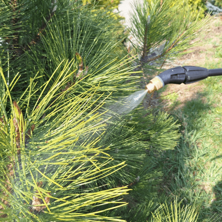 MESTO - e.FLORI Bateriový tlakový postřikovač 5 L, 1,5 baru, NBR, dutá kuželová tryska, nabíjecí kabel USB-C 3222R