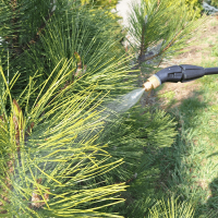 MESTO - e.FLORI Bateriový tlakový postřikovač 5 L, 1,5 baru, NBR, dutá kuželová tryska, nabíjecí kabel USB-C 3222R