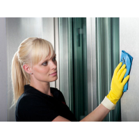 VILEDA - Utěrka z mikrovlákna PVAmicro zelená, 35 x 38 cm - 1 ks